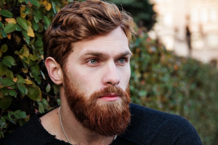 single men in canada